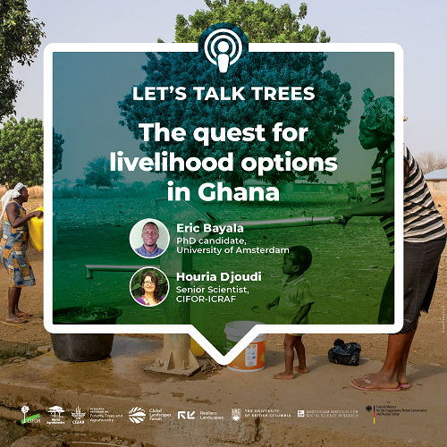 thumbnail of The quest for livelihood options in Ghana
