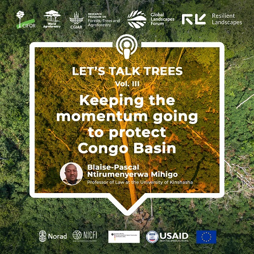 thumbnail of Keeping the momentum going to protect Congo Basin