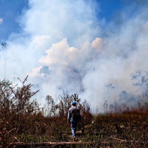 thumbnail of Live on the fire frontline in the Peruvian Amazon