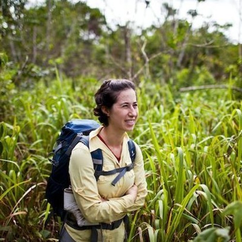 thumbnail of How will fire affect the Amazon forests of the future?