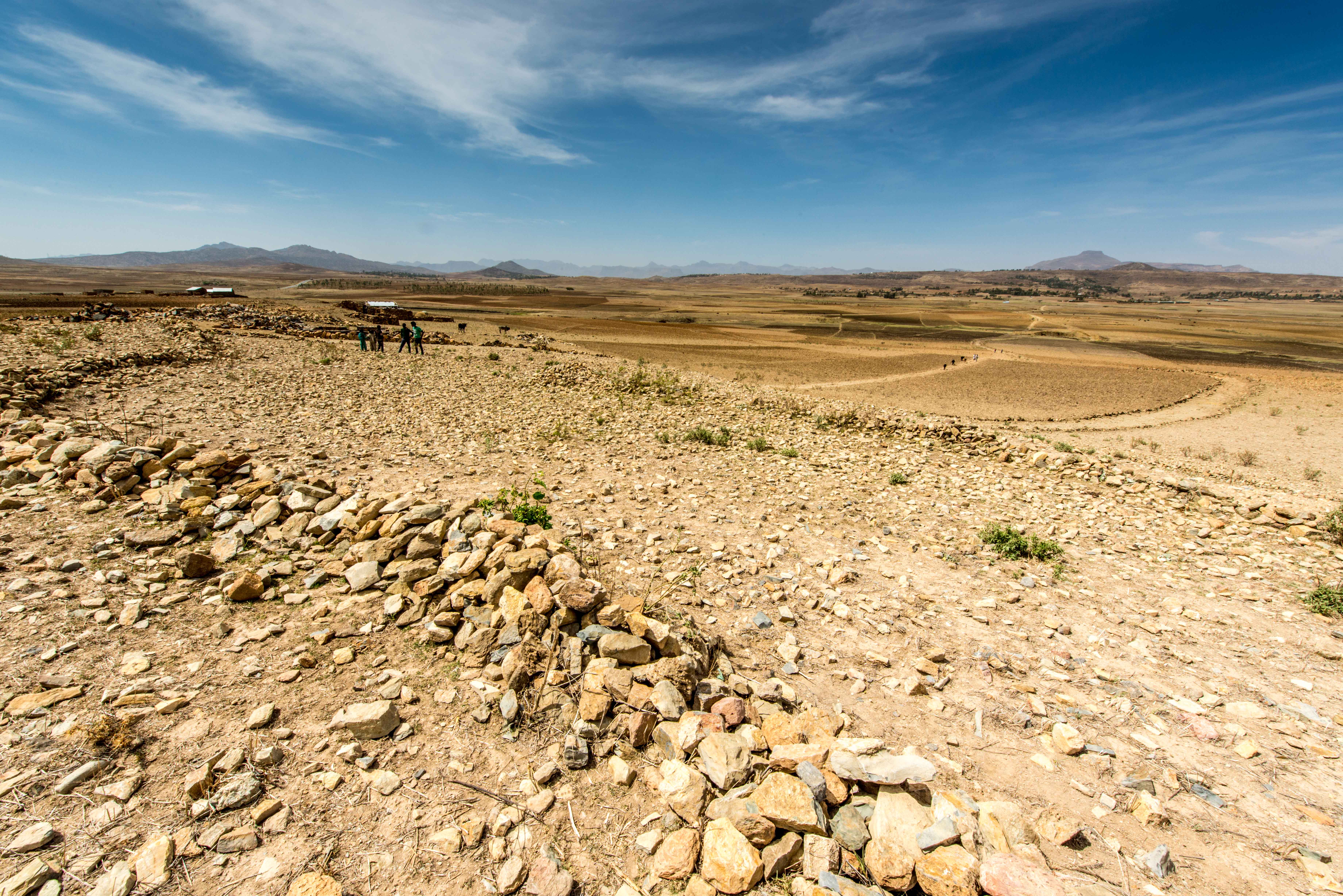 thumbnail of  UNCCD moves to increase soil carbon sequestration, accepts report recommendations