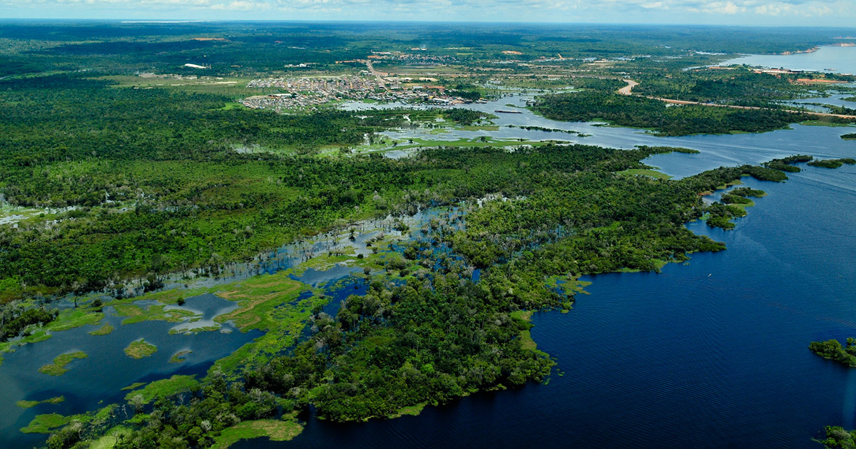 A climate COP in the heart of the Amazon: CIFOR-ICRAF at UNFCCC COP30