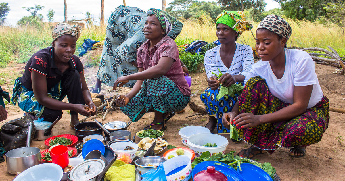 thumbnail of  Project launch: Zambia for Agroforestry, Biodiversity and Climate (Z4ABC)