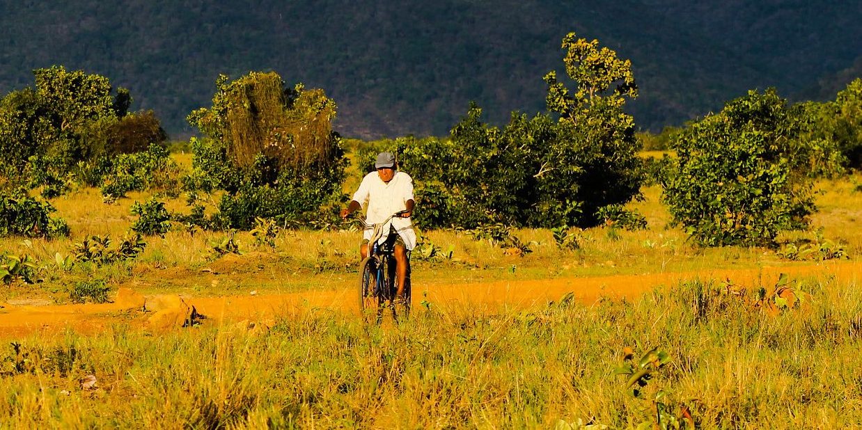 thumbnail of  Keeping track of nature in a fast-growing nation