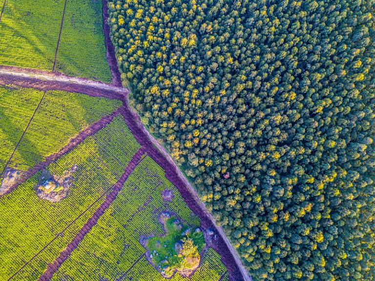 Tenure and tenure reform