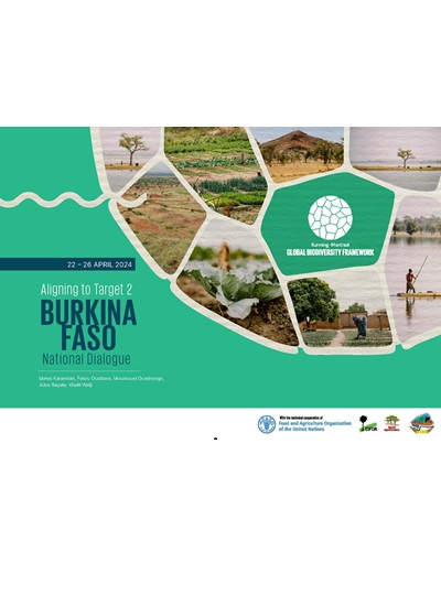 thumbnail of Aligning to Target 2: BURKINA FASO National Dialogue
