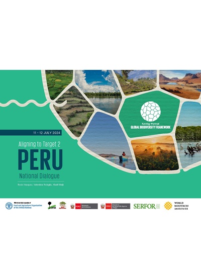 thumbnail of Aligning to Target 2: PERU National Dialogue