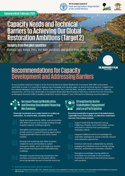 thumbnail of Capacity Needs and Technical Barriers to Achieving Our Global Restoration Ambitions (Target 2): Insights from five pilot countries Burkina Faso, Kenya, Peru, Viet Nam and Brazil, and global-level reflection meetings