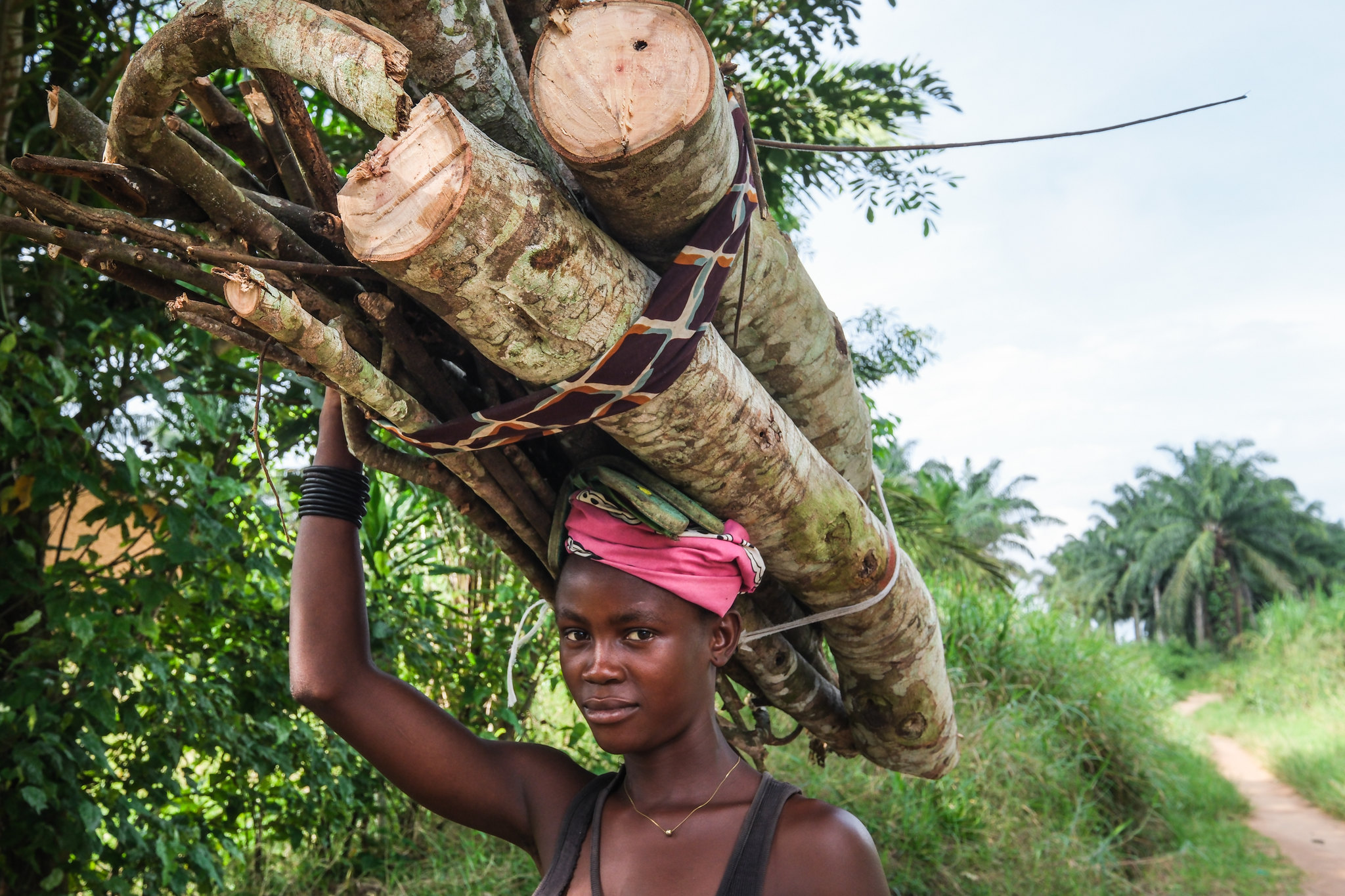 thumbnail of  Interactive tool for Congo offers a glimpse into future forest scenarios