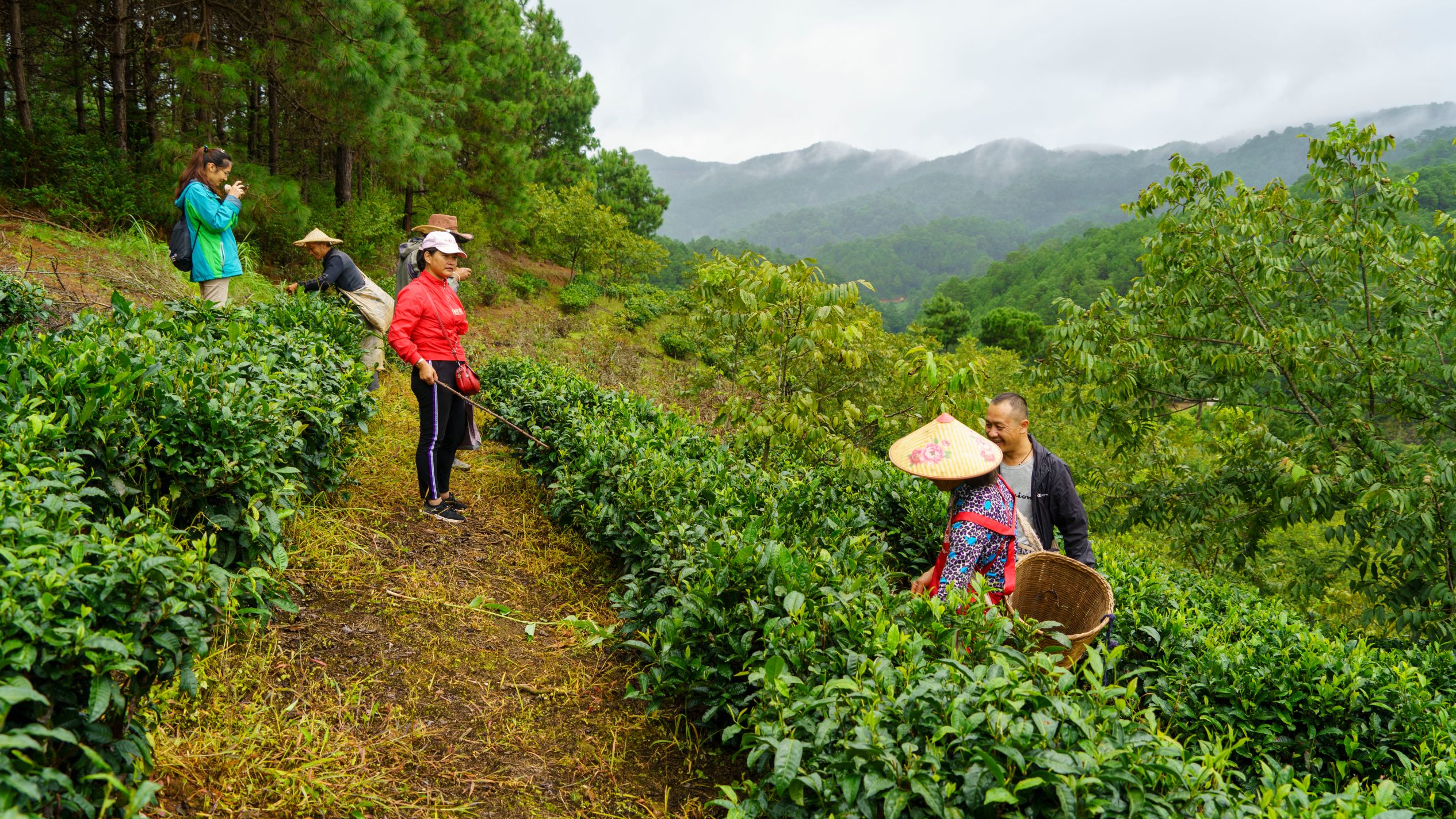 thumbnail of  PODCAST- Building back better: land restoration, gender and research ‘in’ development
