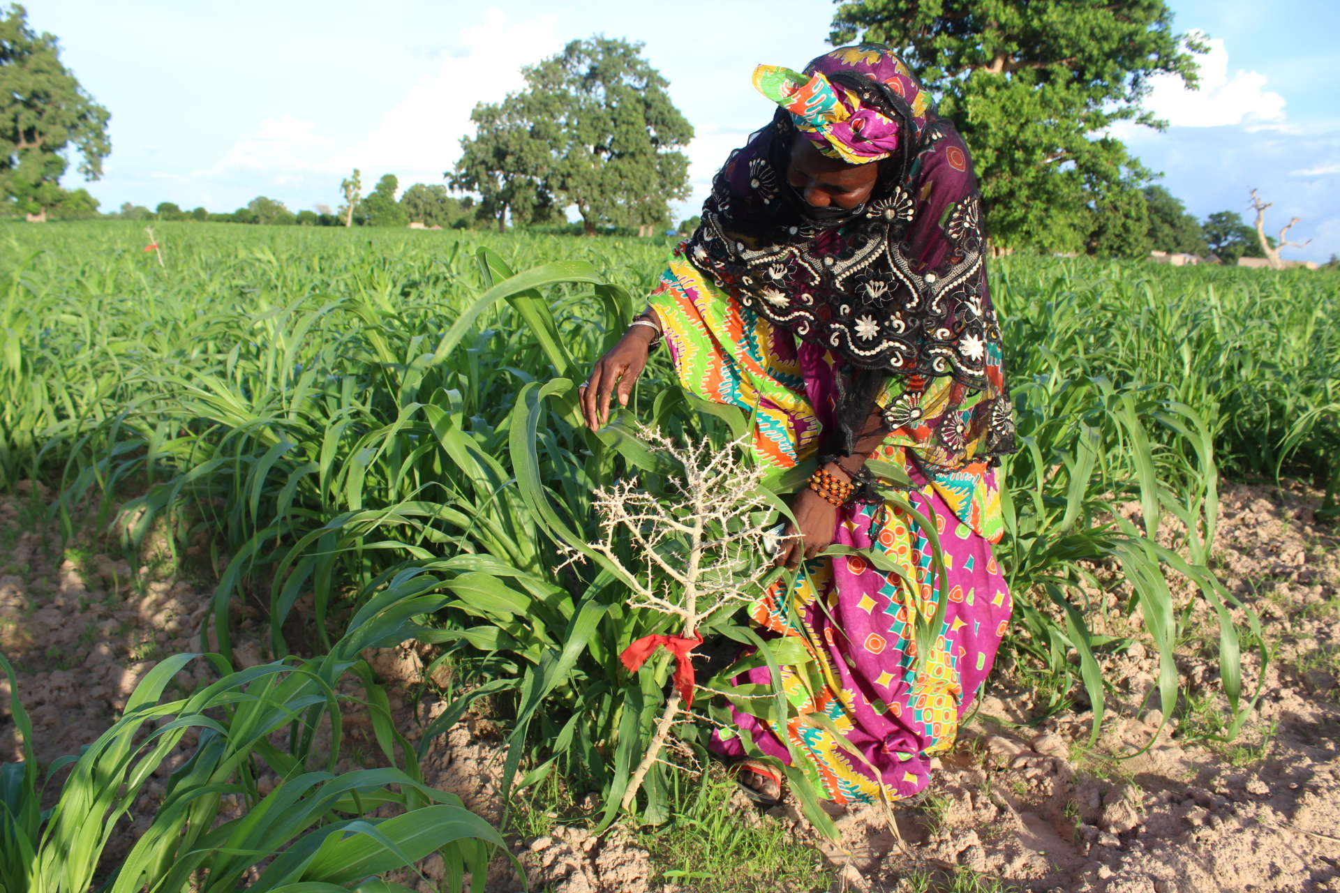 thumbnail of  Boosting restoration through the airwaves