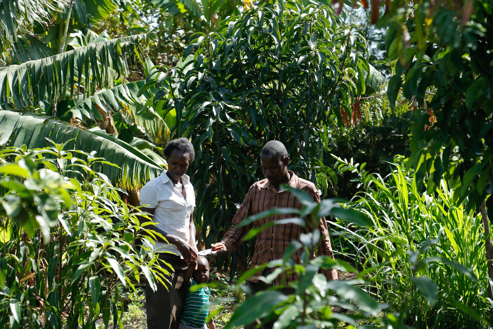 thumbnail of  Why measuring youths’ aspirations is key to sustainable and inclusive rural development