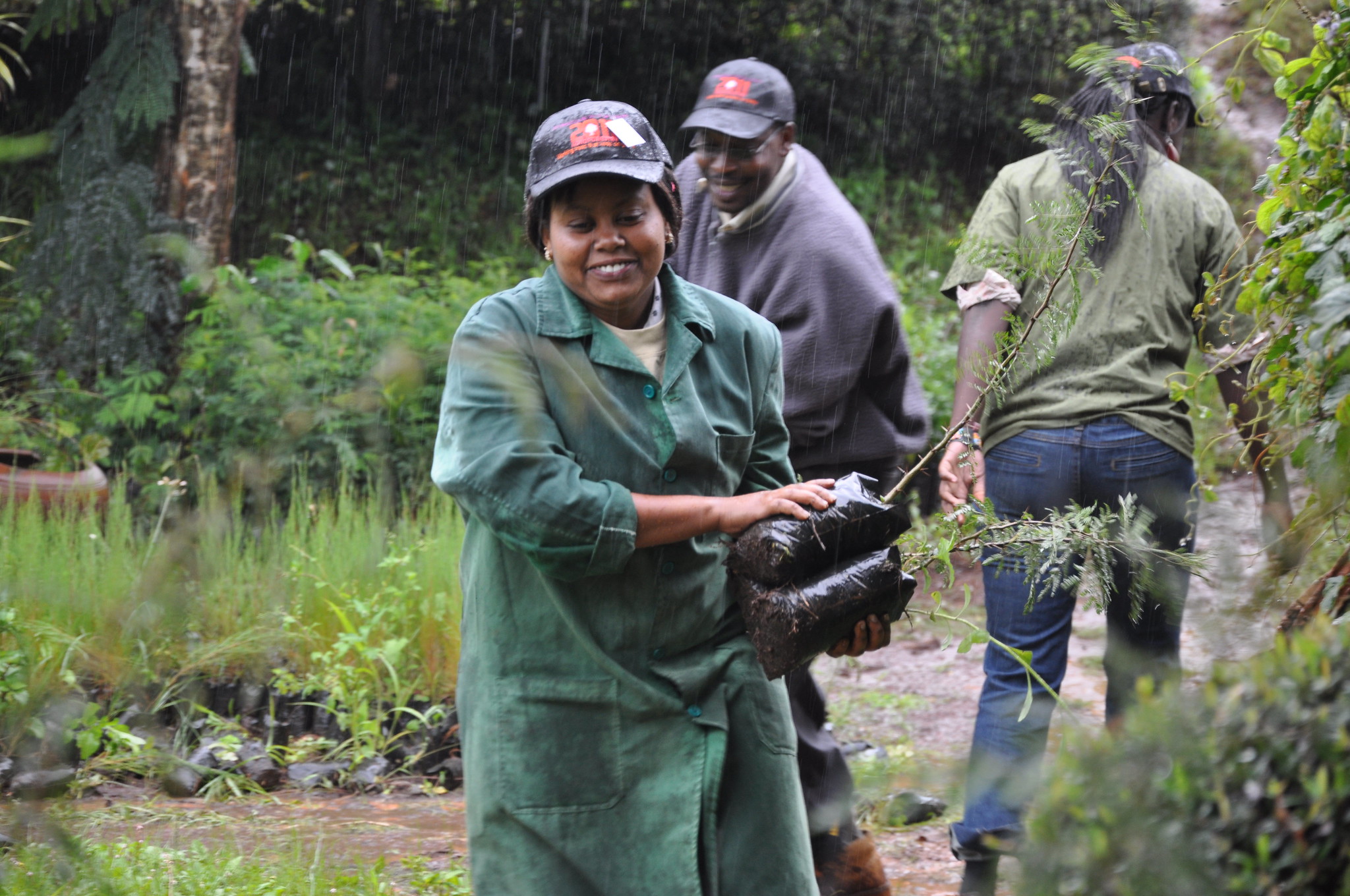 thumbnail of  Overcome past reforestation challenges!