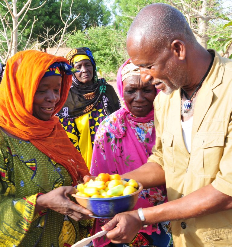 thumbnail of  Learning from past initiatives for expanding the scale of land restoration in Africa