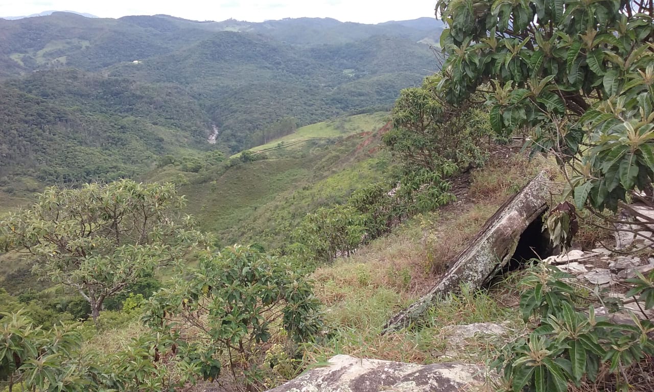 thumbnail of  Restoring land with agroforestry: new guide published