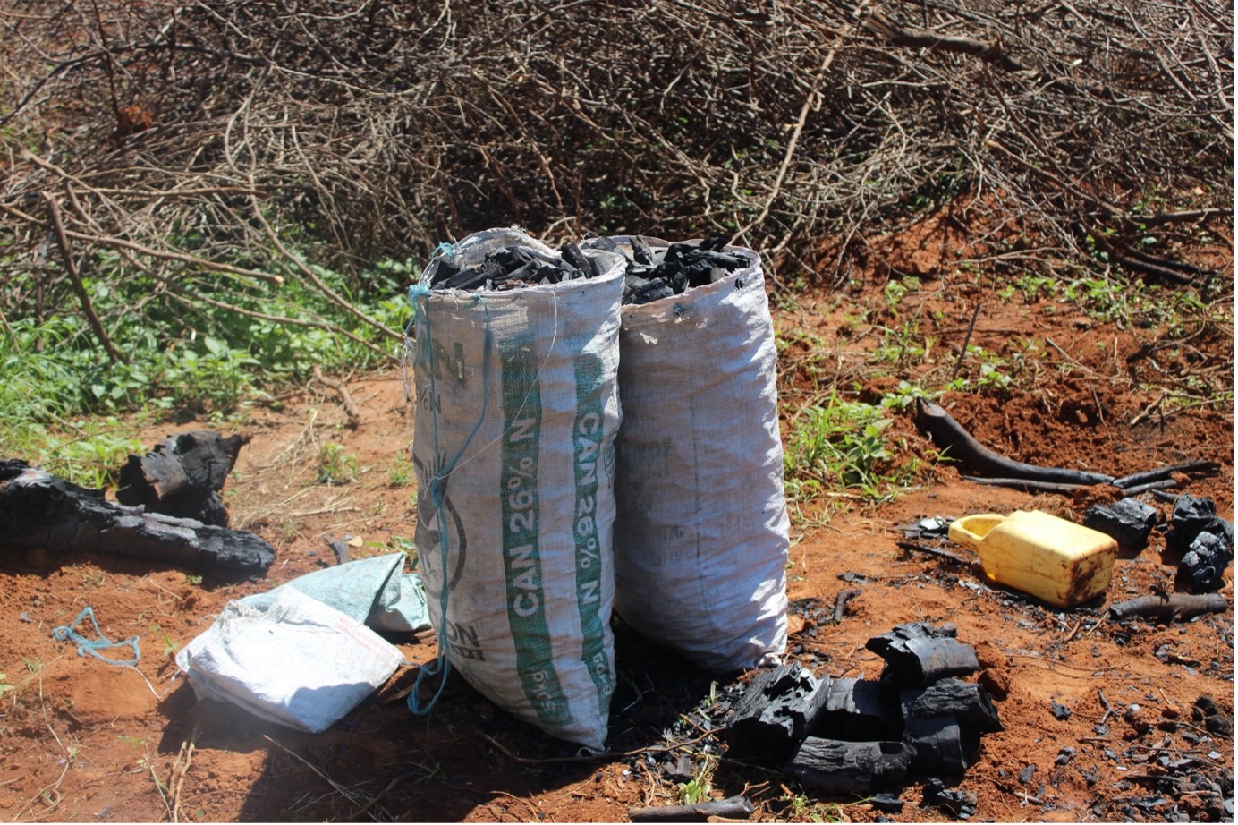 thumbnail of  Boost producers’ associations for a sustainable charcoal sector