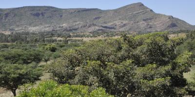 thumbnail of  It’s time for individually determined contributions to reducing emissions