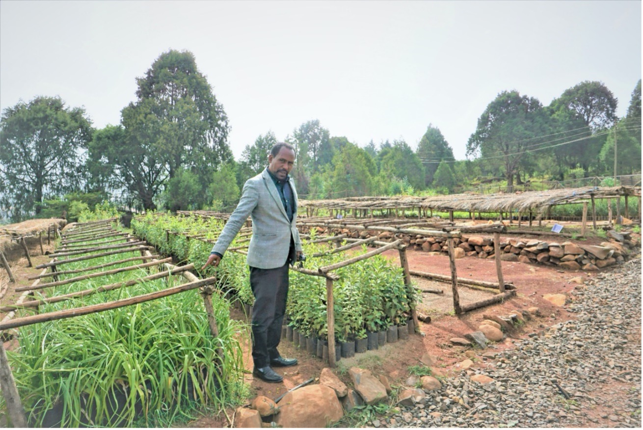 thumbnail of  A new chapter for Gullele Botanical Garden