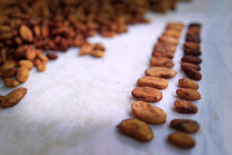 thumbnail of  Trees: a pairing for coffee, chocolate and wine