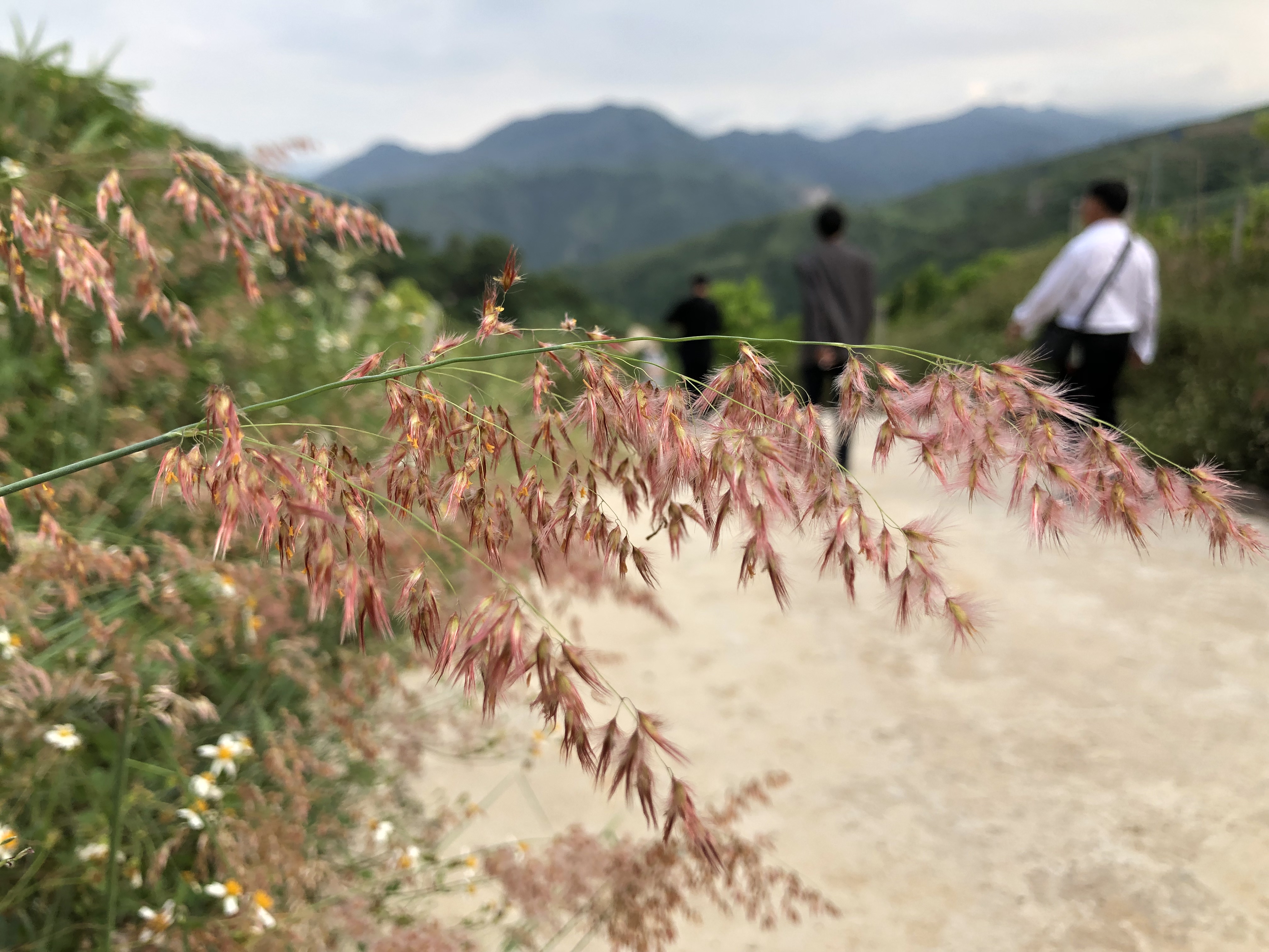 thumbnail of  Unity in the face of the global climate crisis: How sharing expert knowledge translates to on-the-ground solutions