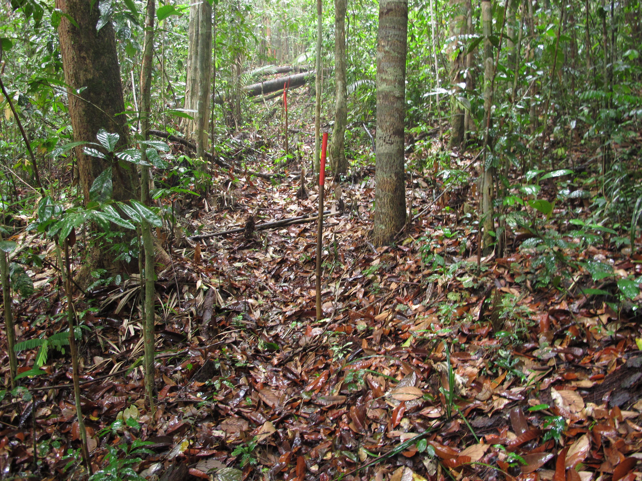 thumbnail of  An exploratory study of cost-benefit analysis of landscape restoration