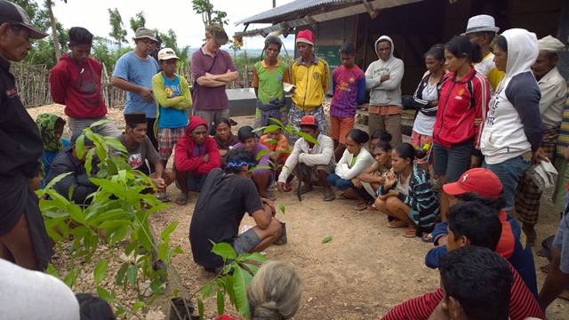 thumbnail of  Contributions of biodiversity to the sustainable intensification of food production