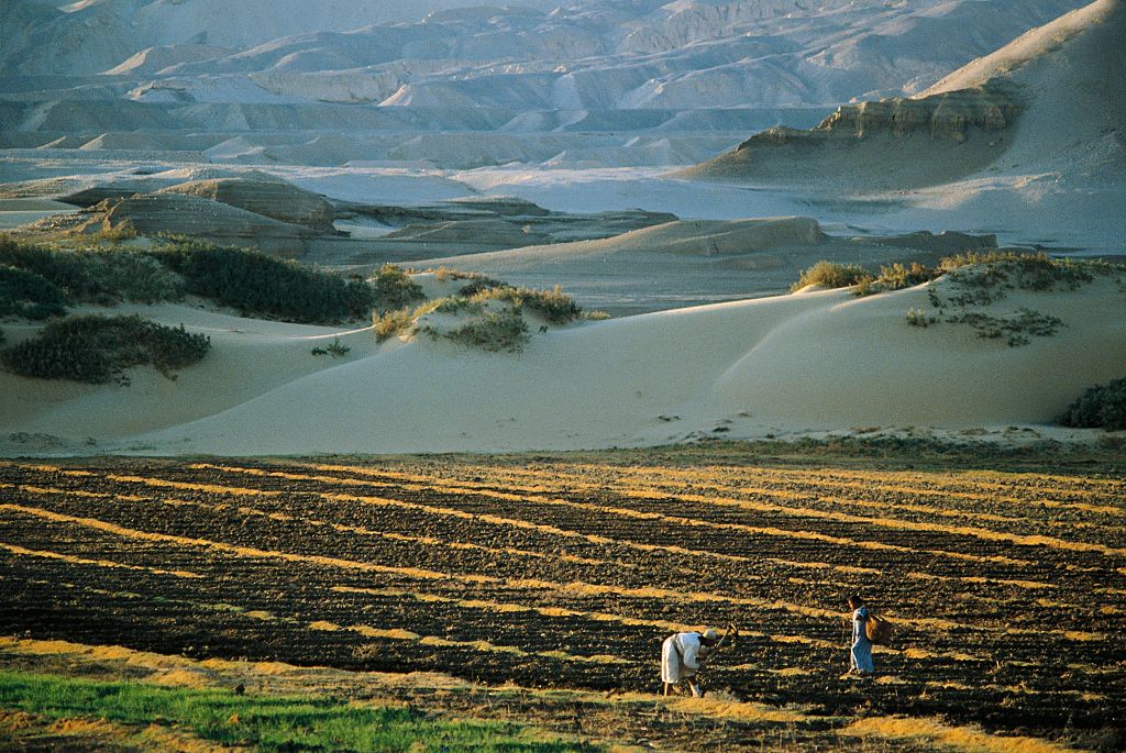 thumbnail of  Africa’s drylands are getting more support. How to make the most of this