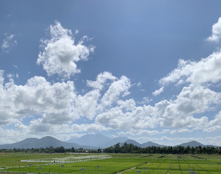 thumbnail of  International Women’s Day 2019: Think equal, build smart, innovate for change in the Philippines