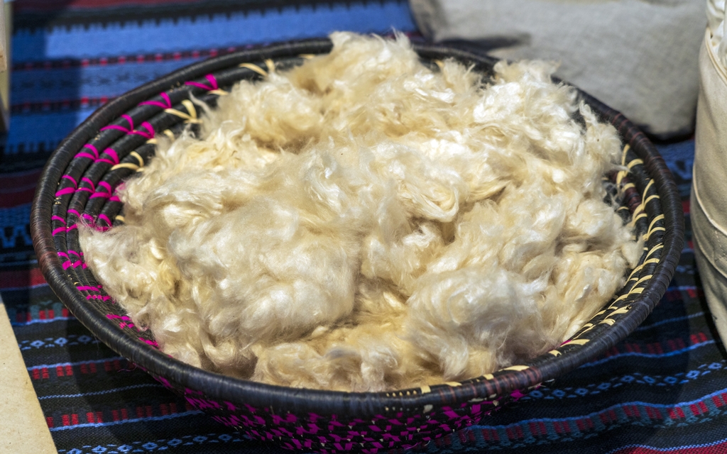 thumbnail of  Gold kapok: the “new cotton” for rural revitalisation in China