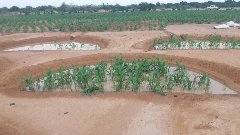 thumbnail of  Technologies for land restoration showcased