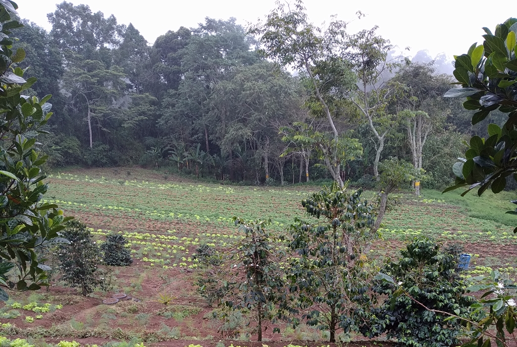 thumbnail of  Humans need healthy skin. So does the Earth