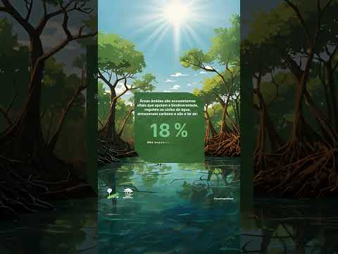 thumbnail of  Hoje nós celebramos o Dia Mundial das Áreas Úmidas 💚🌎🌳