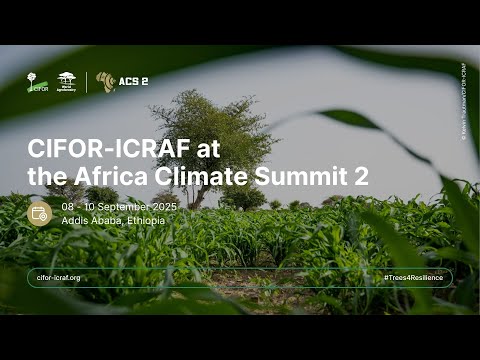 thumbnail of  Rooted in resilience: Locally led restoration for Africa’s future