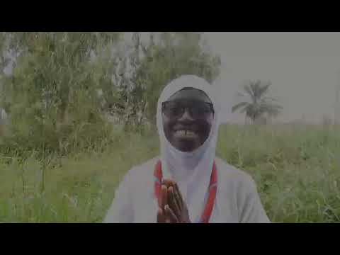 thumbnail of  Benin virtual tour