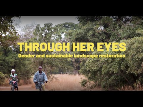 thumbnail of  Through Her Eyes: Gender and sustainable landscape restoration