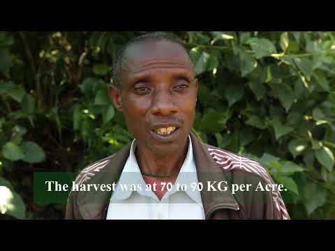 thumbnail of  T4FS Rwanda