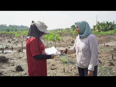 thumbnail of  What matter in action research to supports community-based mangrove restoration efforts in South Sumatra, Indonesia