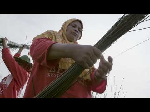 thumbnail of  Community-based peatland restoration: voices from Perigi, South Sumatra