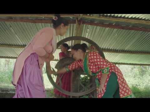 thumbnail of  Forest rights devolution, women and forest-based enterprise