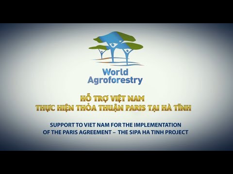 thumbnail of  Impact of the SIPA Ha Tinh project