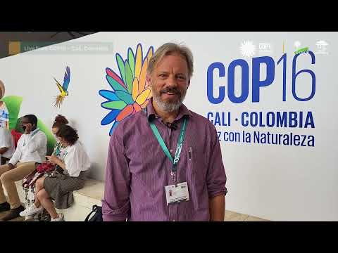 thumbnail of  Highlights from UNCBD COP16: The role, challenges, and solutions surrounding trade and biodiversity