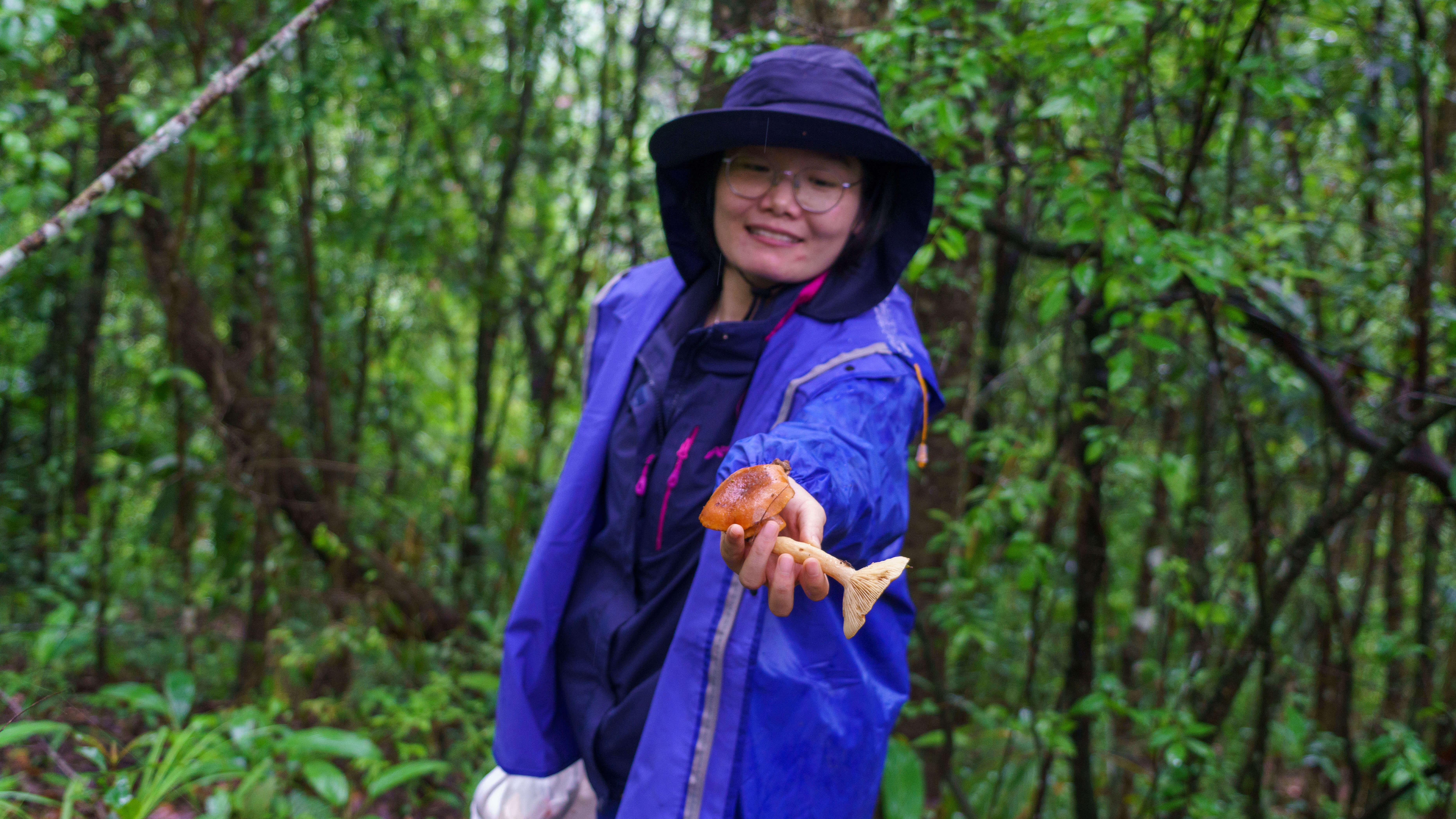 thumbnail of  Hungry for fungi? Now you can know if it’s safe