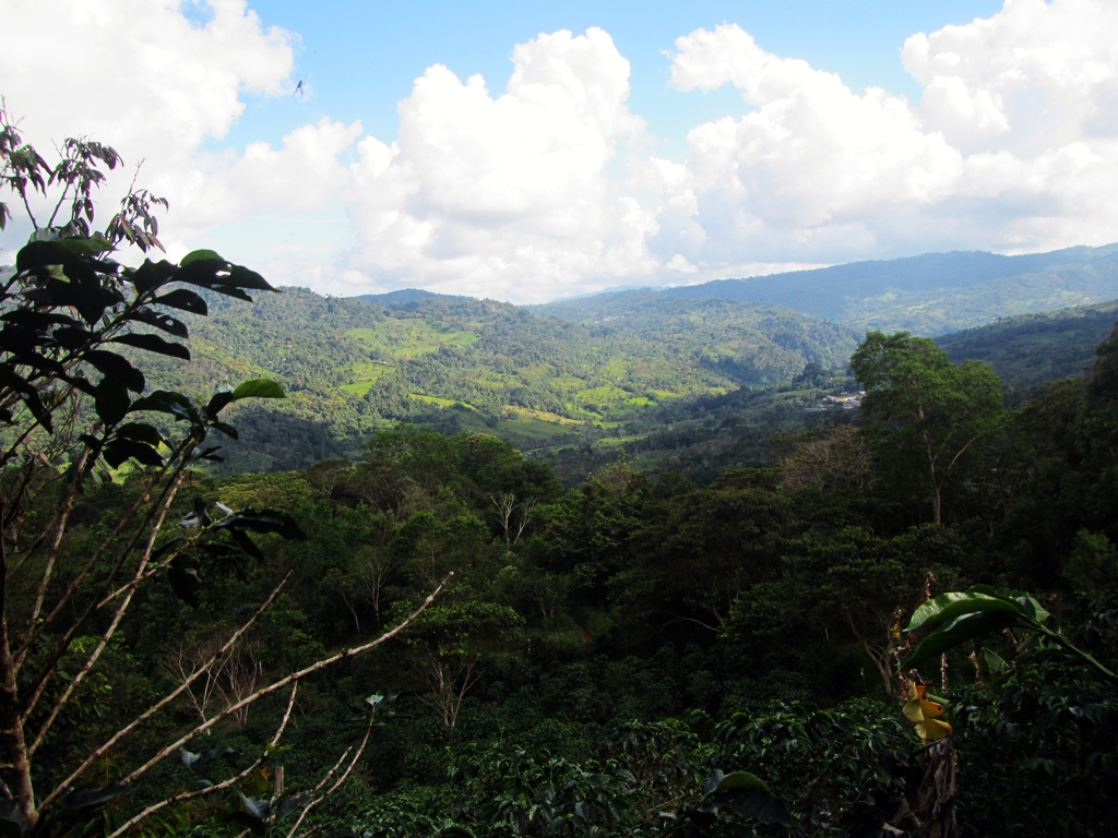 thumbnail of  Promoting public policies based on scientific evidence in San Martin, Peru