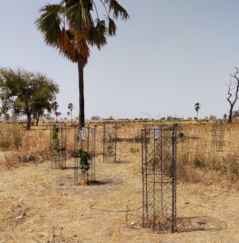 thumbnail of  The world’s complex problems need complex solutions