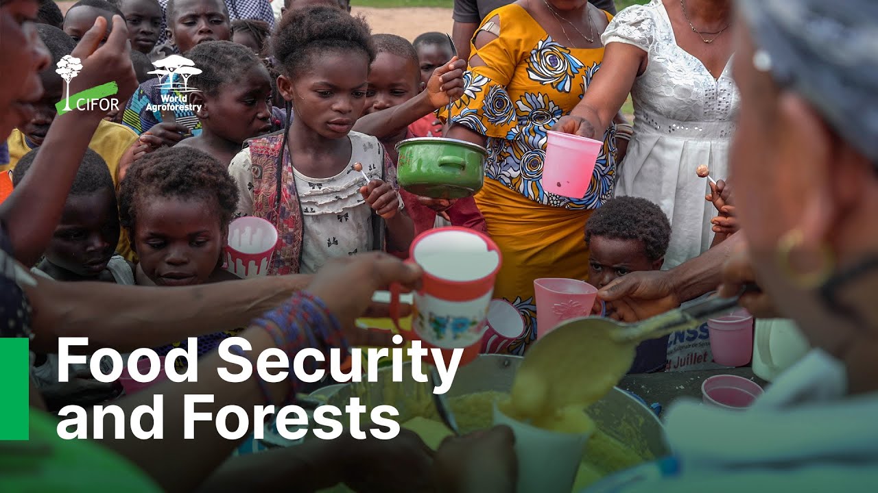 thumbnail of  Improving food security and nutrition in Lileko along the Congo River