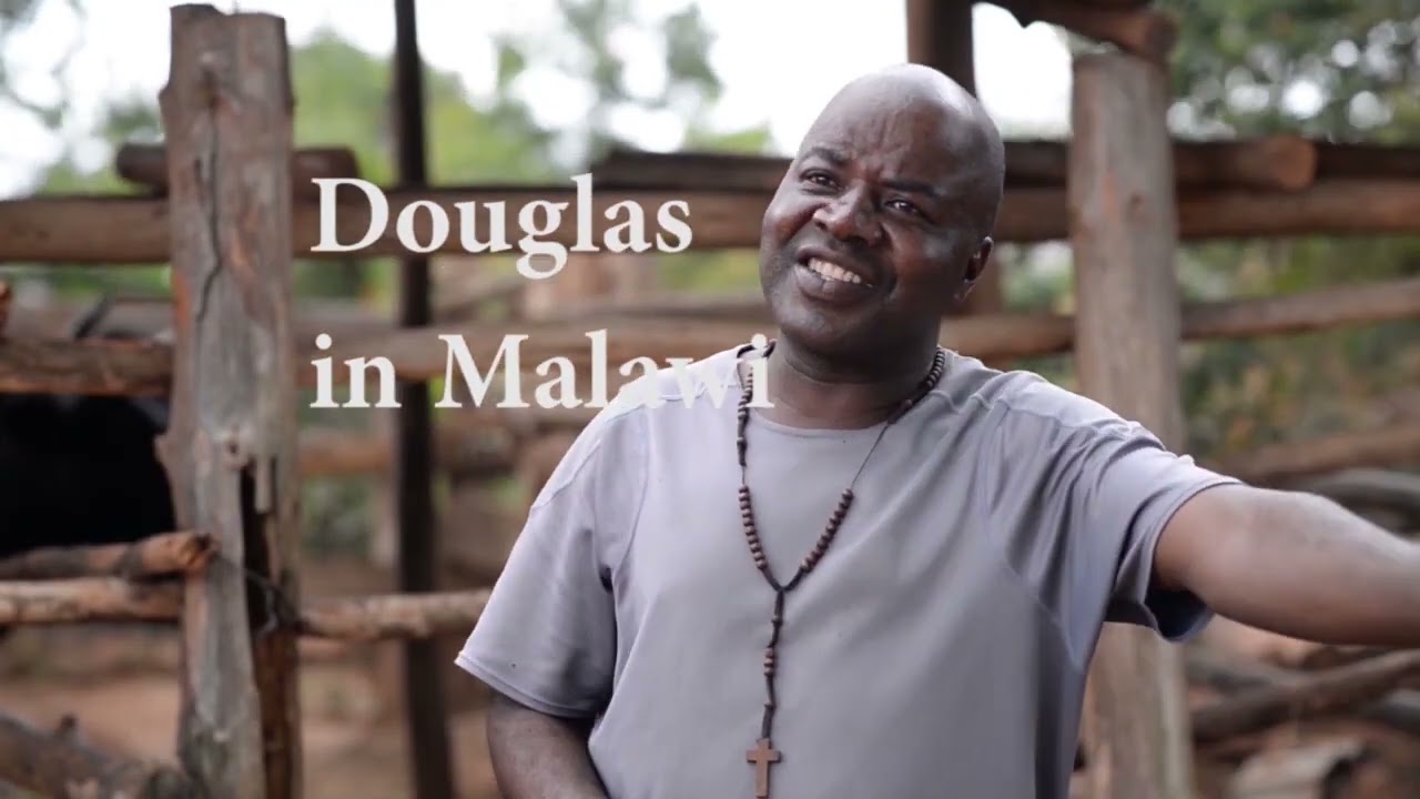 thumbnail of  Save money get more milk through fodder shrubs