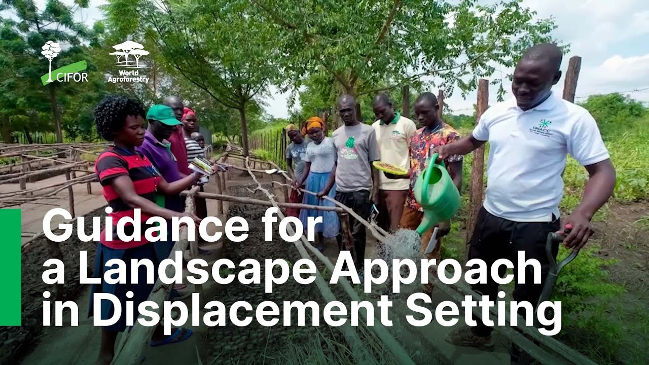thumbnail of  Guidance for a Landscape Approach in Displacement Setting: Experiences from the Rhino Camp Refugee Settlement in Uganda