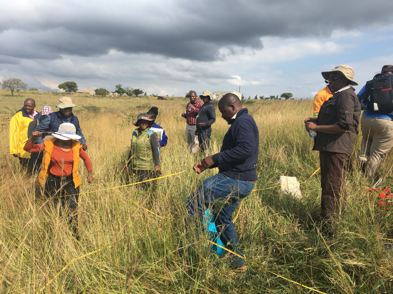 thumbnail of  People, healthy soils and ecosystems in Africa