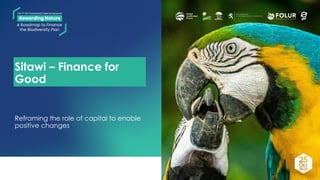 thumbnail of  Priorities and solutions for a global biodiversity finance roadmap: Sitawi – Finance for Good