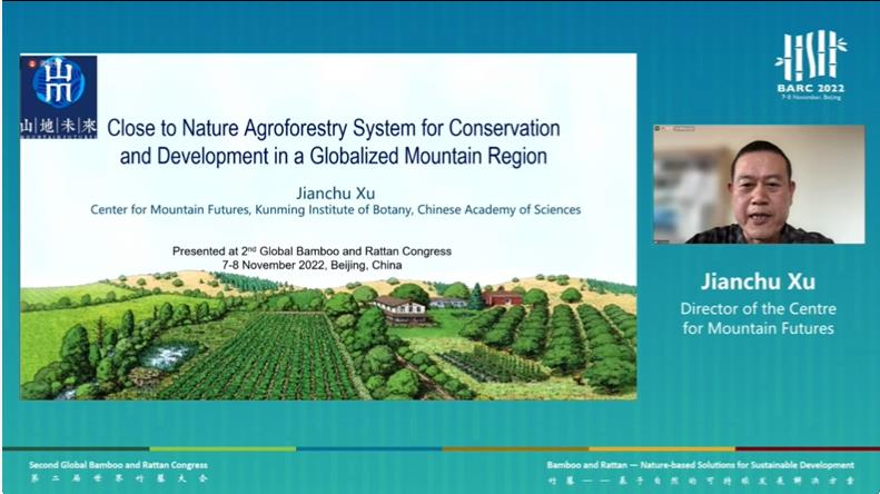 thumbnail of  Agroforestry in the spotlight at Global Bamboo and Rattan Congress